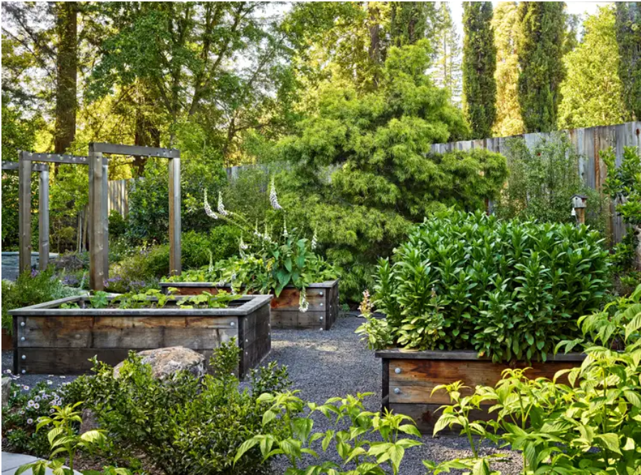 Building Climate-Resilient Gardens: Smart Gardening in Harmony with Nature